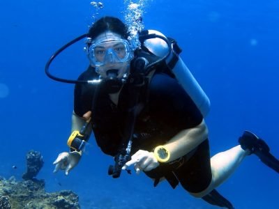phi phi island diving